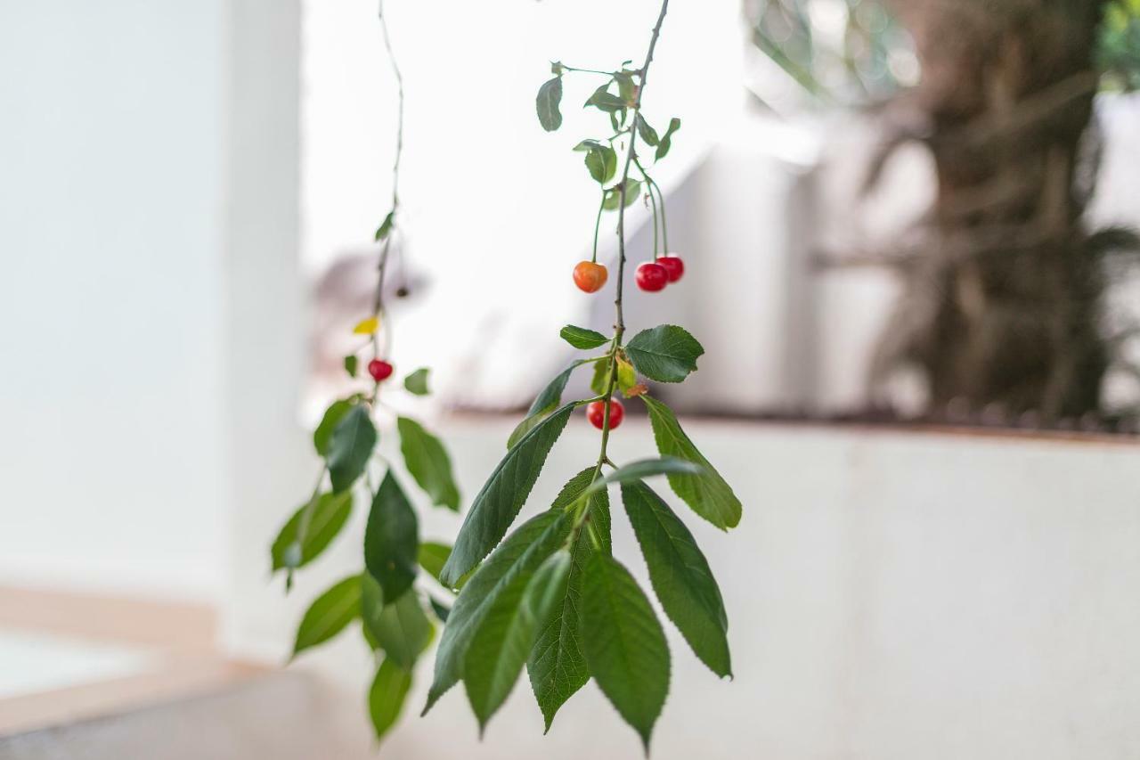 Fragrant Garden Apartment Lisboa 外观 照片